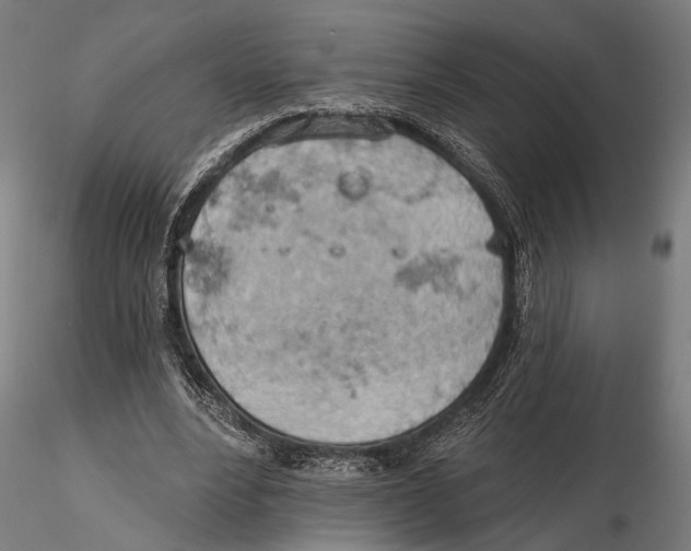 X0000115590488200912081053