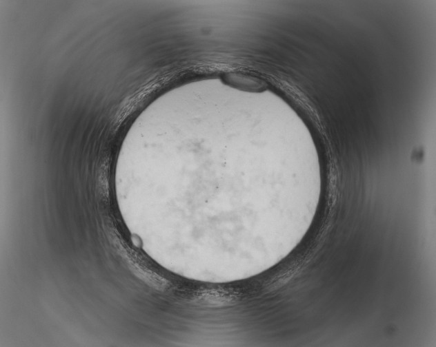 X0000115590489200912081053