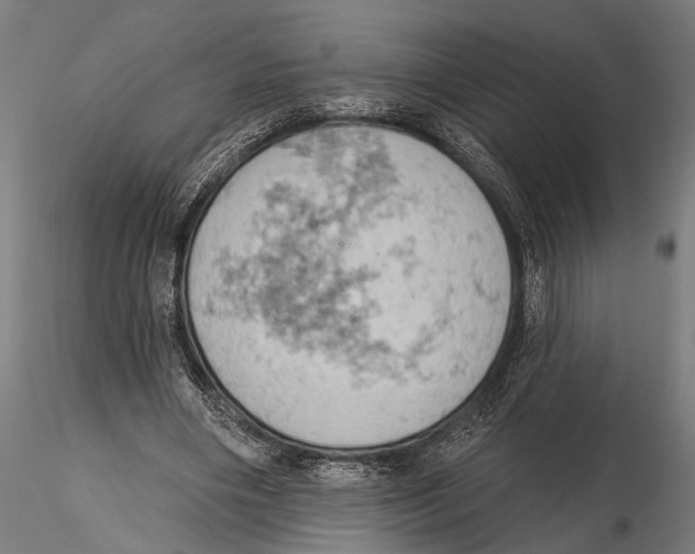 X0000115590490200912081053
