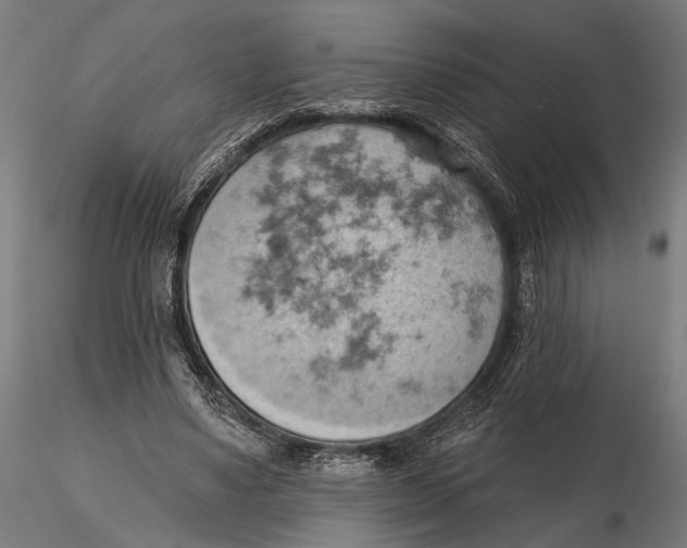 X0000115590491200912081053