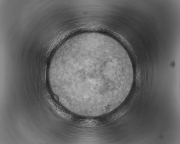 X0000115590493200912081053