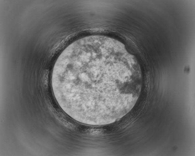 X0000115590495200912081052