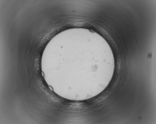 X0000115590497200912081052