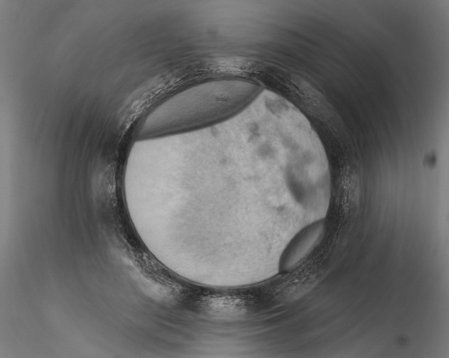 X0000115590500200912081052