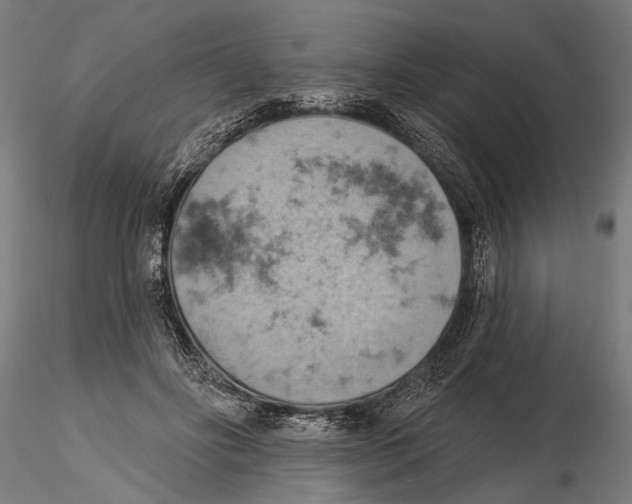 X0000115590502200912081052