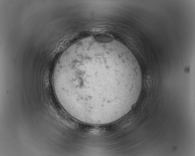 X0000115590504200912081052