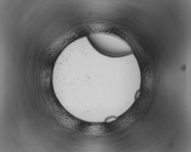 X0000115590505200912081052