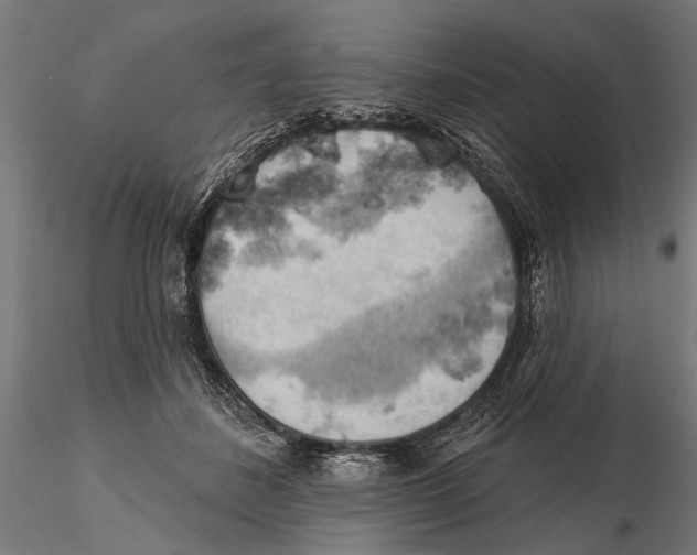 X0000115590508200912081052