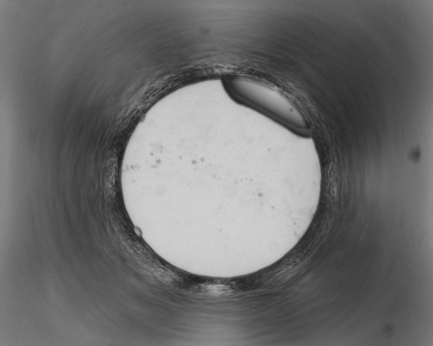 X0000115590509200912081052