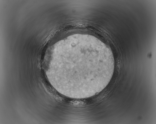 X0000115590512200912081052