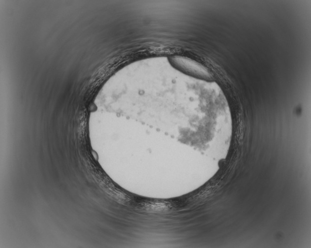 X0000115590513200912081052