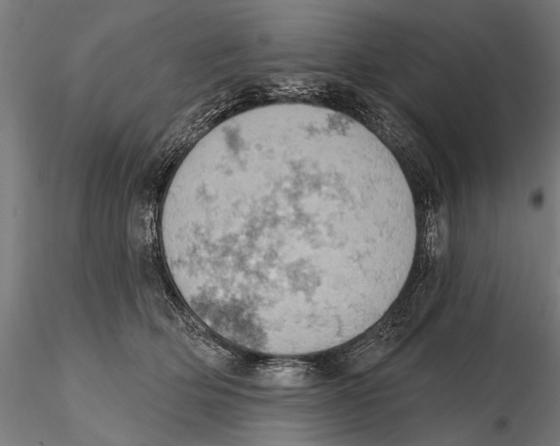 X0000115590514200912081052