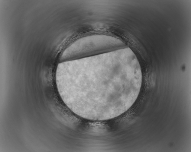 X0000115590516200912081052