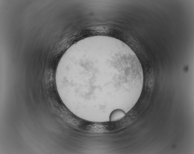 X0000115590518200912081052