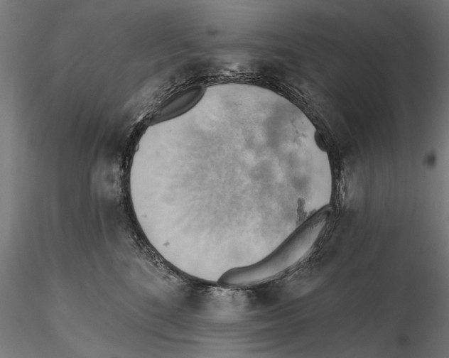X0000115590520200912081052