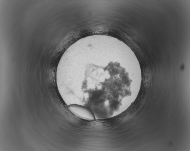 X0000115590523200912081052
