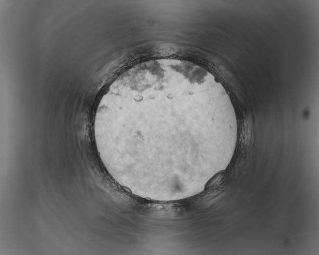 X0000115590524200912081052
