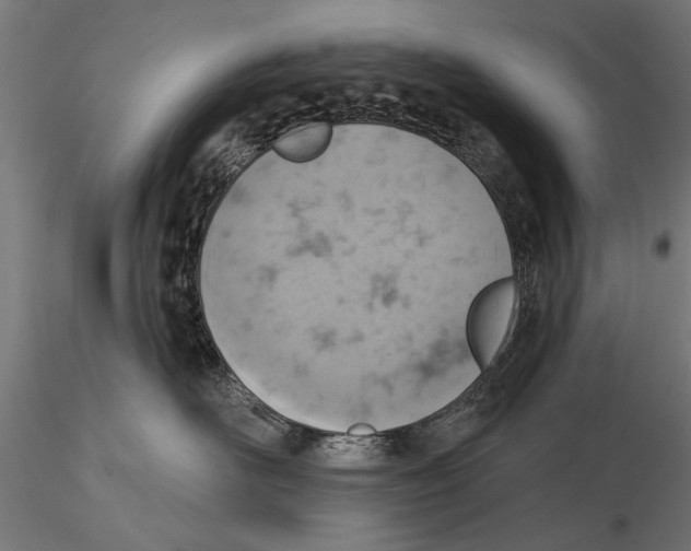 X0000115590526200912081052