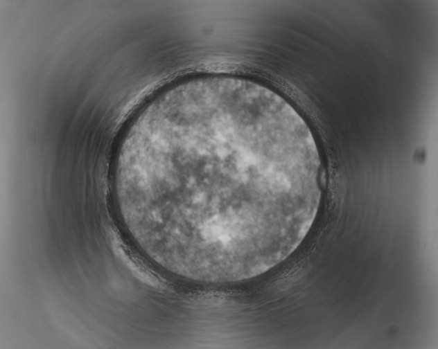 X0000115590530200912081051