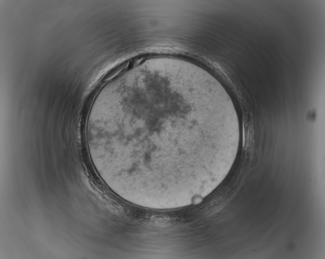 X0000115590531200912081051