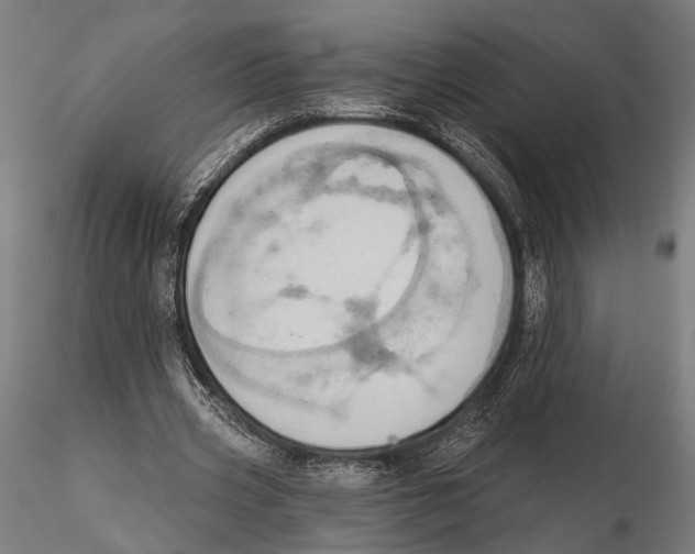 X0000115590533200912081051