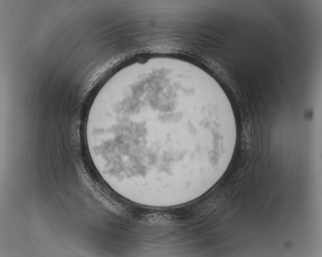 X0000115590535200912081051