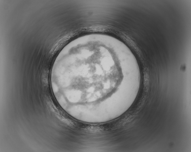 X0000115590537200912081051