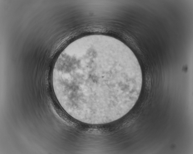 X0000115590538200912081051