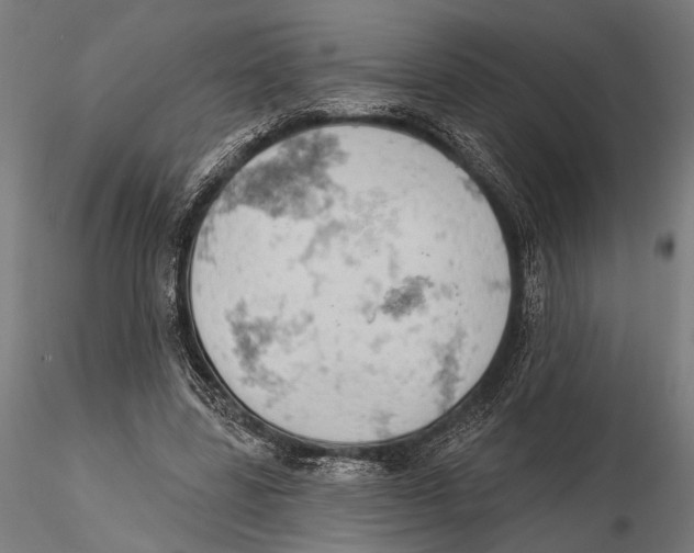 X0000115590539200912081051