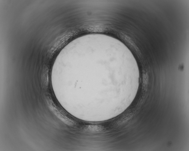 X0000115590541200912081051
