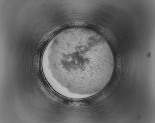X0000115590542200912081051