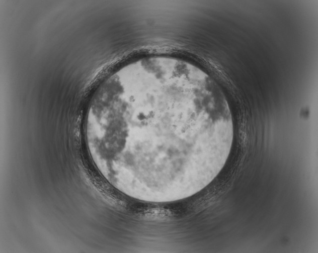 X0000115590543200912081051