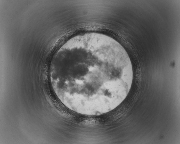 X0000115590547200912081051