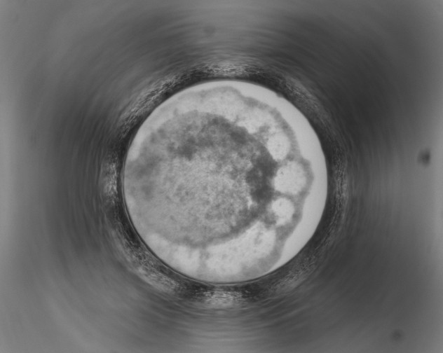 X0000115590549200912081051