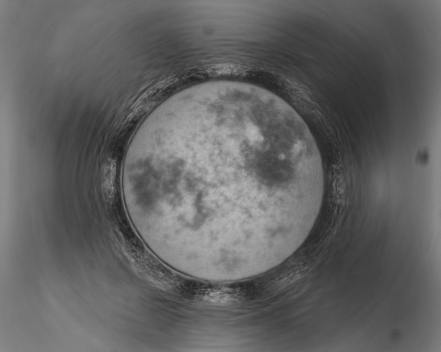 X0000115590550200912081051