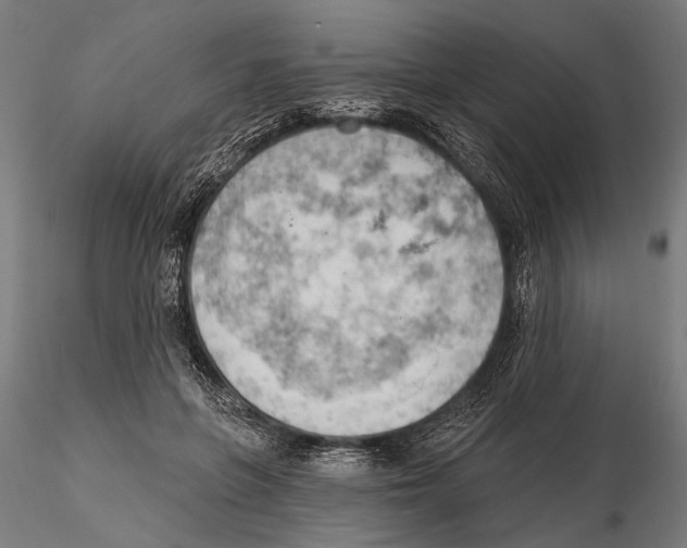 X0000115590551200912081051