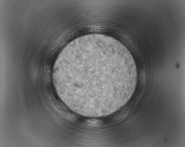 X0000115590557200912081052