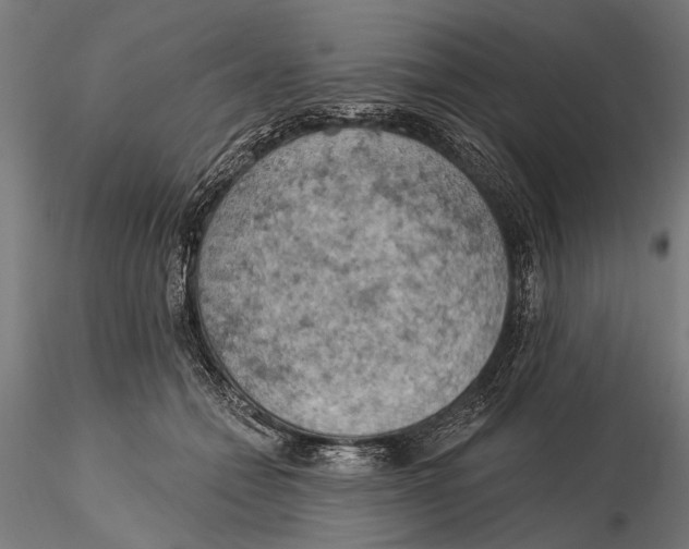 X0000115590558200912081052