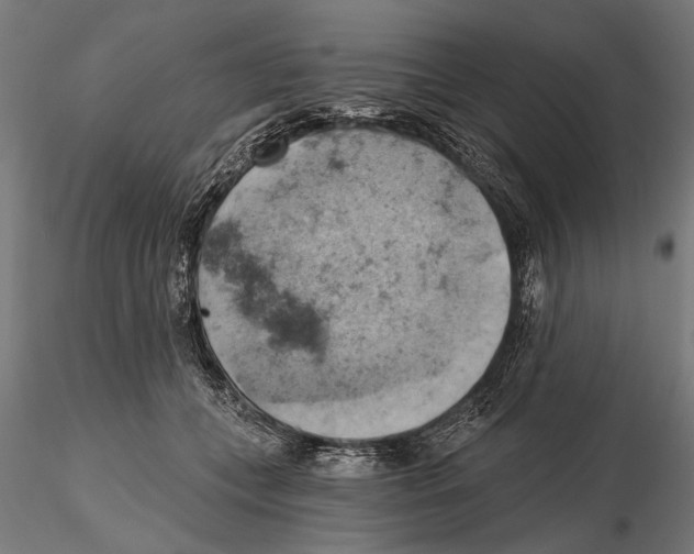 X0000115590559200912081052