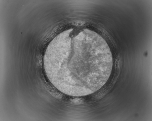 X0000115590561200912081052