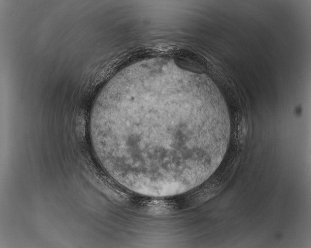 X0000115590562200912081052