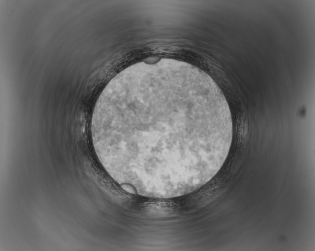 X0000115590567200912081052