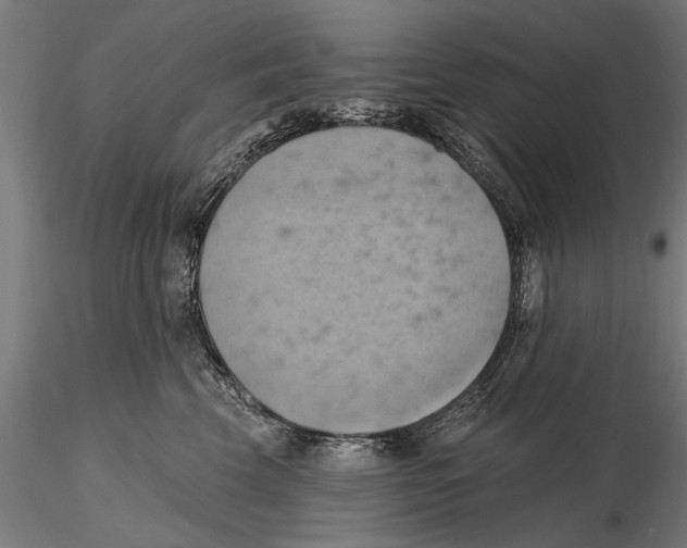 X0000115590569200912081052