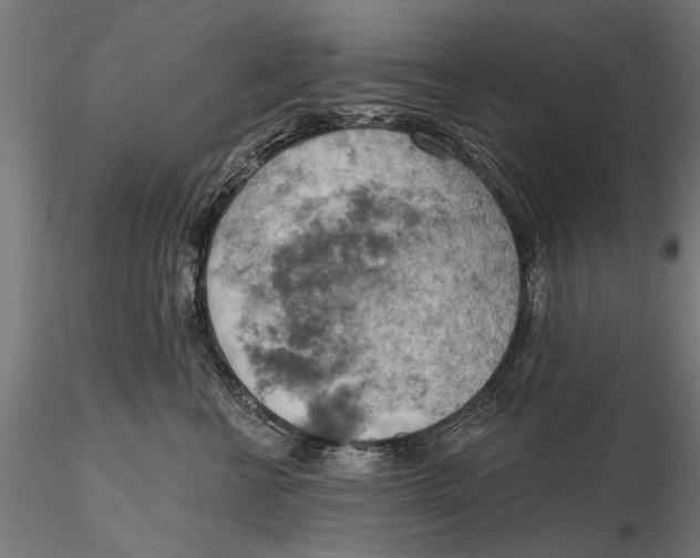 X0000115590570200912081052