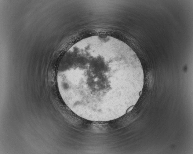 X0000115590571200912081052