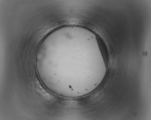 X0000115590577200912081051