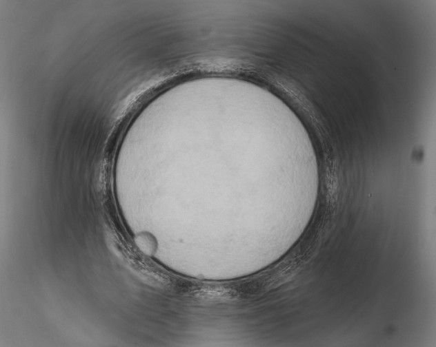 X0000115590583200912081051