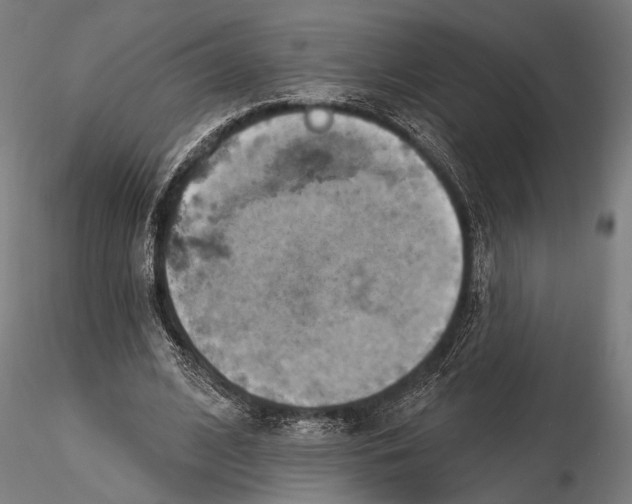 X0000115590584200912081051