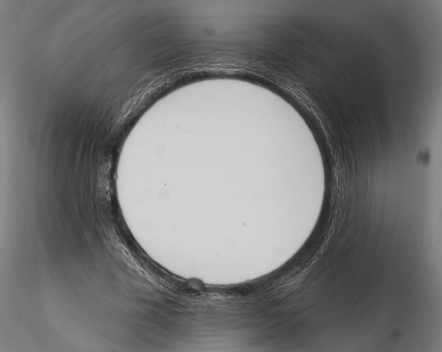 X0000115590585200912081051