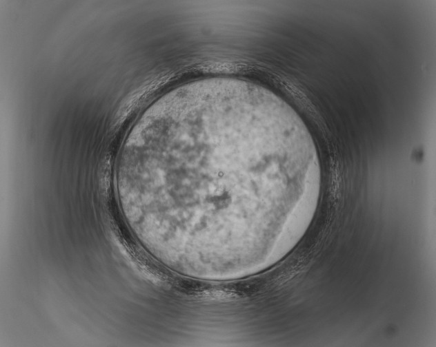 X0000115590586200912081051